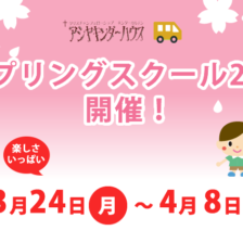 news31